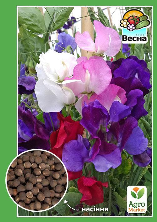 Духмяний горошок суміш ТМ "Весна" 0.5г