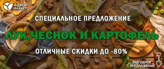 Акция! Коллеги, поторопитесь выписать лук, чеснок и картофель со скидкой до -80% Акция! Коллеги, поторопитесь выписать лук, чеснок и картофель со скидкой до -80%