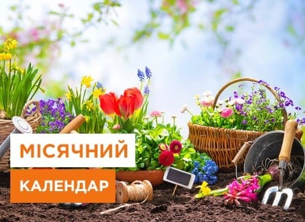 Місячний посівний календар на квітень 2024: що і коли сіяти в квітні - Agro-Market