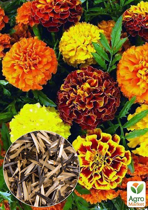 

На вагу Чорнобривці Оксамитовий сезон ТМ Весна ціна за 2г