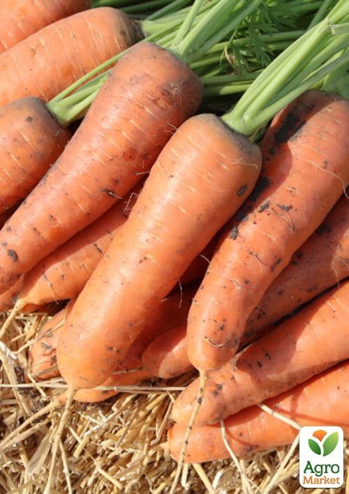 

Морковь "Ред Коред" ТМ "Lark Seeds" 500г