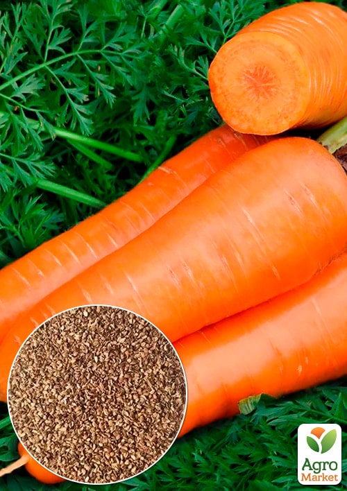 

Морква Катрін (Зипер) ТМ Весна 5г