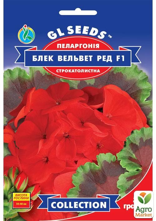 

Пеларгония пестролистная Блэк вельвет ред F1 ТМ GL SEEDS 5 гранул