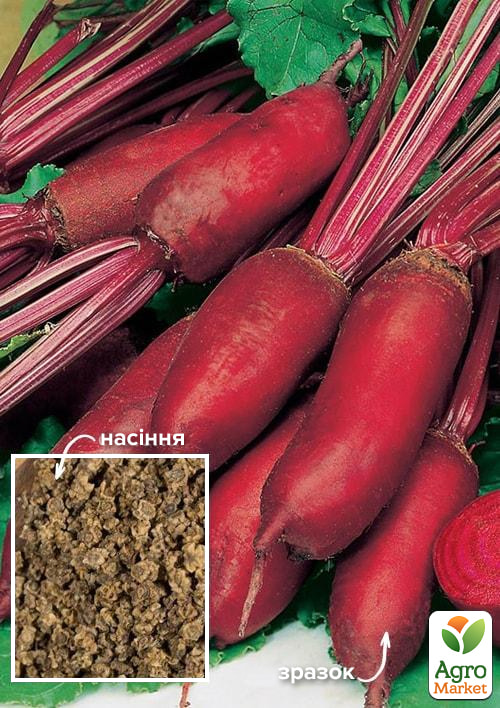 

На развес Свекла Генеральская ТМ Весна цена за 10г