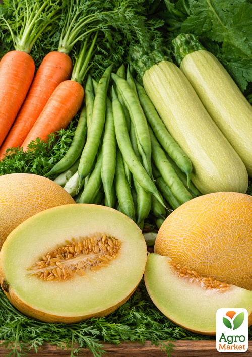 

Комплект овощей в зиппере Вкус лета 15уп