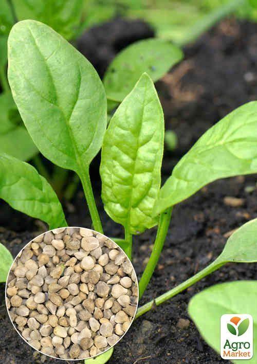 

На развес Шпинат Исполин ТМ Весна цена за 7г