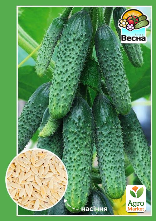 

Огурец Бабушкин внучок F1 ТМ Весна 0.25г