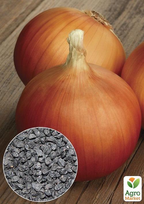 На развес Лук "Каратальский" ТМ "Весна" цена за 5г