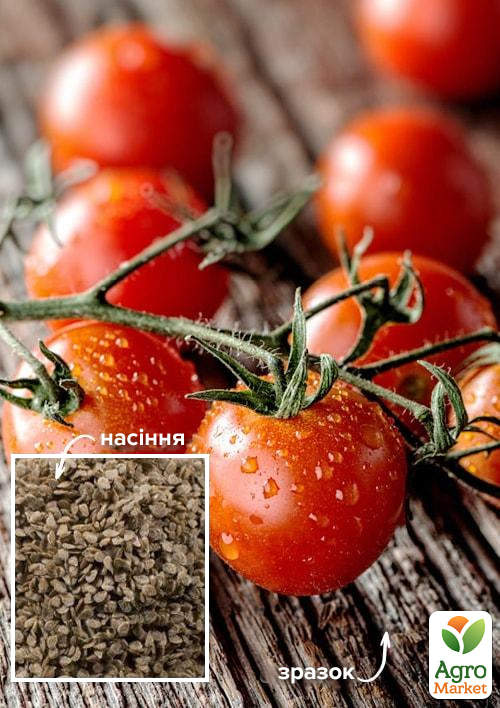 

На развес Томат Оливка ТМ Весна цена за 1г