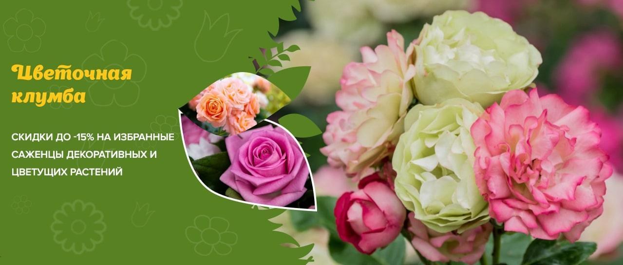Акция! Цветочная клумба со скидками до -15% Акция! Цветочная клумба со скидками до -15%