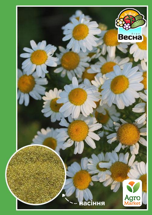 

Ромашка Аптечная ТМ Весна 0.2г