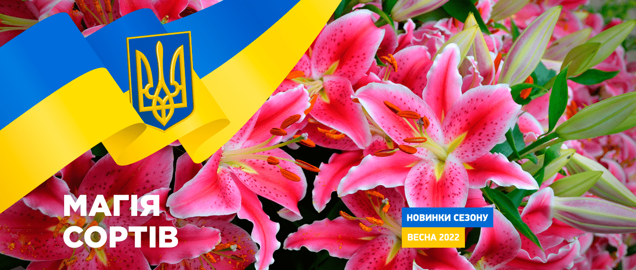 Чарівництво Сортів! Чарівництво Сортів!