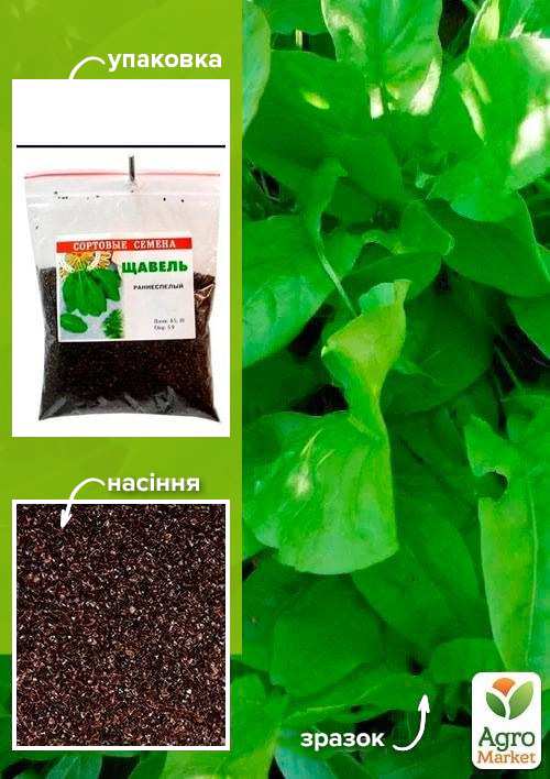 

Щавель ТМ Весна 100г