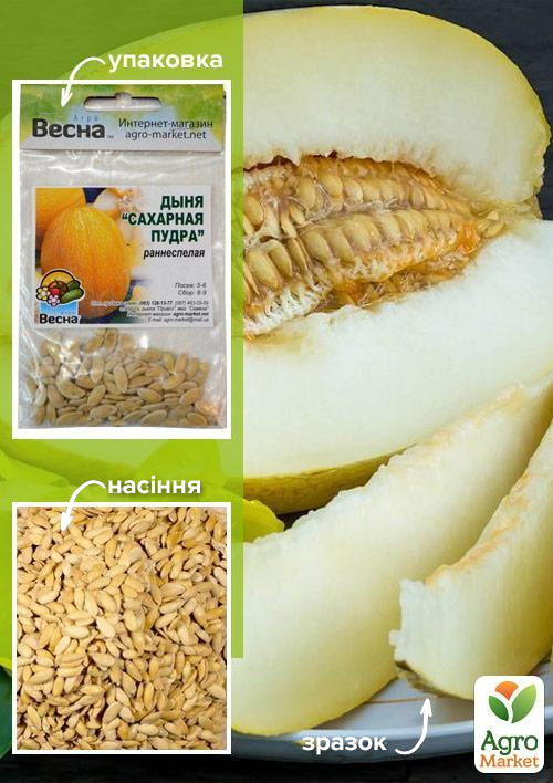 

Дыня Сахарная пудра (Зипер) ТМ Весна 3г