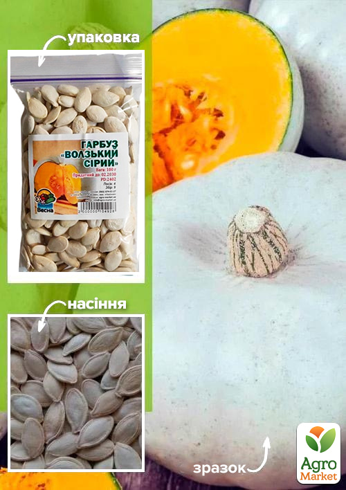 

Гарбуз Волзький сірий ТМ Весна 100г