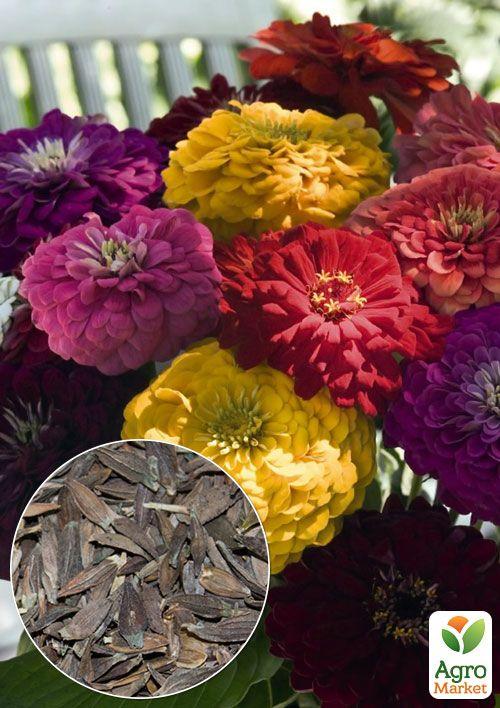 На вагу Цинія суміш ТМ "Весна" ціна за 4г