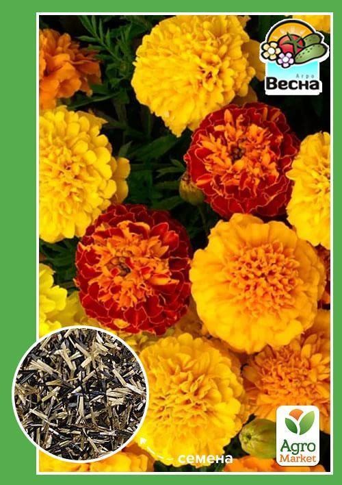 

Бархатцы Бархатный сезон ТМ Весна 0.3г