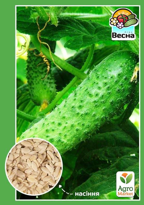 

Огірок Ластівка F1 ТМ Весна 0.5г