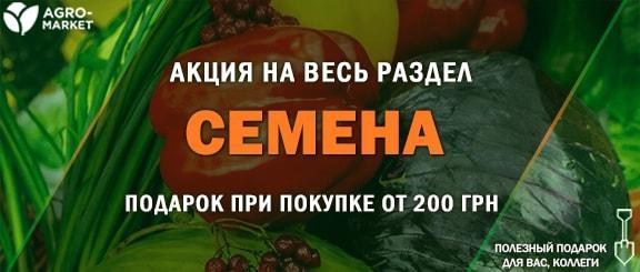 Акция! Получайте подарок при покупке любых семян от 200 гривен Акция! Получайте подарок при покупке любых семян от 200 гривен