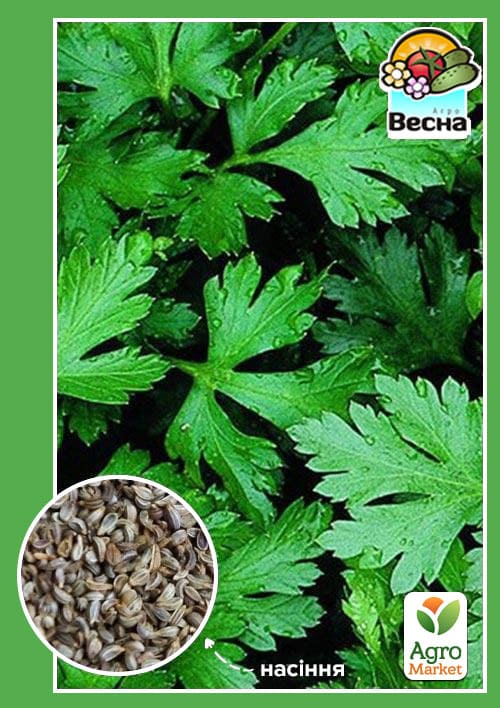 

Петрушка Гігантелла ТМ Весна 2г