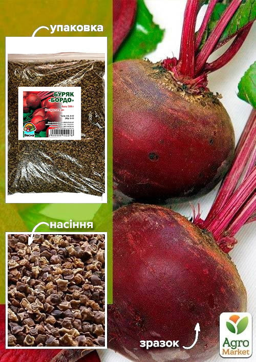 

Буряк Бордо ТМ Весна 500г