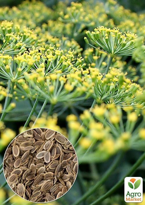 

На вагу Кріп Салют ТМ Весна ціна за 20г