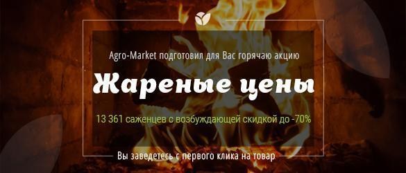 Онлайн супермаркет Agro-Market.ua жарит цены Онлайн супермаркет Agro-Market.ua жарит цены