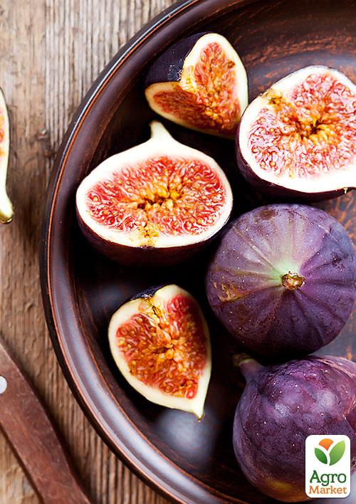 

Инжир Фиолетовый Абхазский