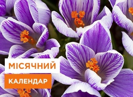 Місячний посівний календар садівника та городника на березень 2024 - корисні статті про садівництво від Agro-Market