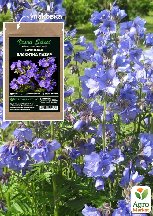 

Синюха Блакитна лазур ТМ Vesna Select 0.2г