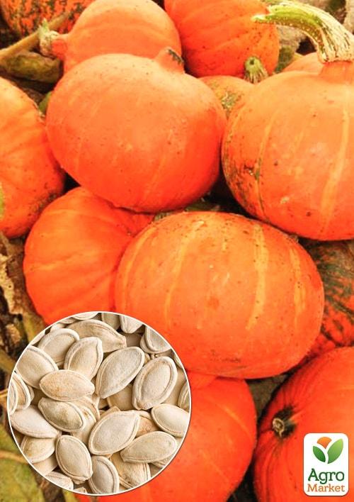 

На развес Тыква Праздничный десерт ТМ Весна цена за 10г