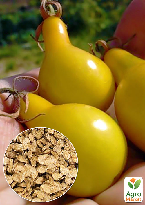 

На вагу Томат Лампочка медова ТМ Весна ціна за 1г