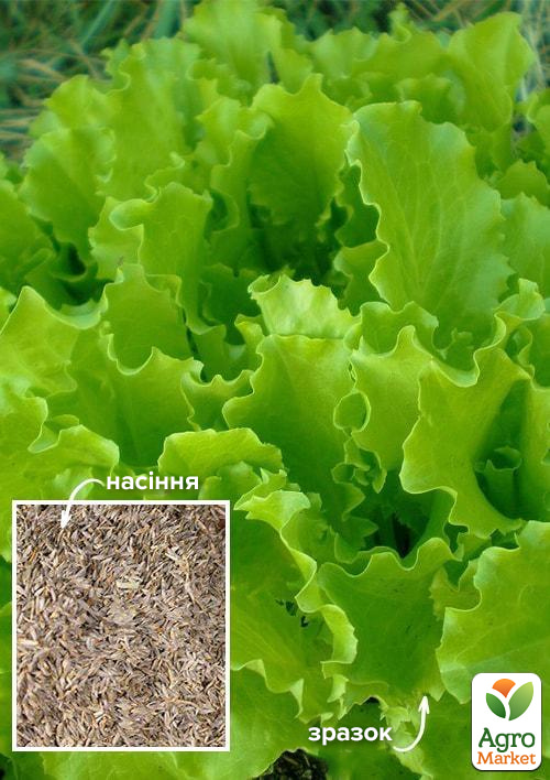 

На развес Салат Нежный кудрявец ТМ Весна цена за 8г