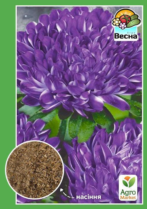 

Астра Седая дама фиолетовая ТМ Весна 0.2г