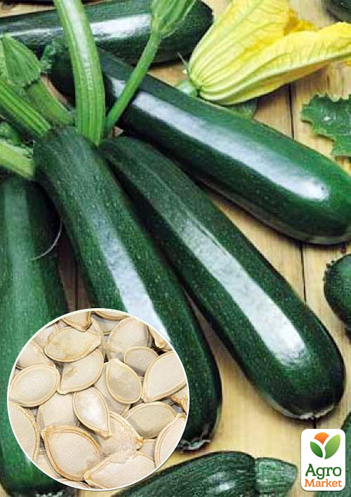 

На развес Кабачок Цыганёнок ТМ Весна цена за 8г