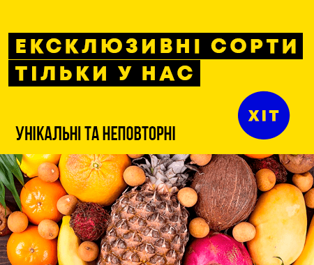 Ексклюзив! Унікальні сорти тільки у нас Ексклюзив! Унікальні сорти тільки у нас