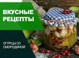 Огірки з червоною смородиною на зиму:унікальний рецепт - корисні статті про садівництво від Agro-Market