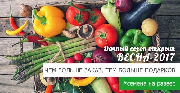 Просыпайтесь! Пришло время действовать Просыпайтесь! Пришло время действовать