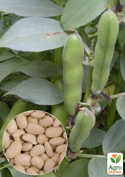 

На развес Бобы Белые ТМ Весна цена за 10г