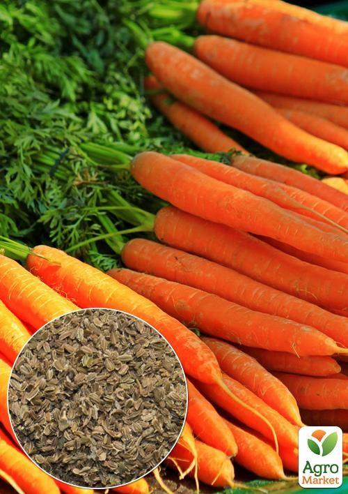 

На развес Морковь Витаминная ТМ Весна цена за 10г