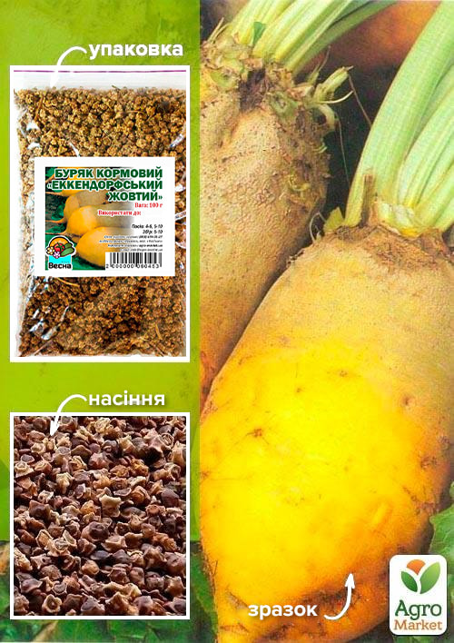 

Буряк кормовий Еккендорфський жовтий ТМ Весна 100г