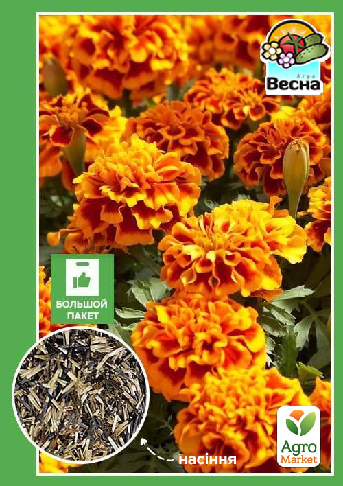 

Чорнобривці Низькорослі Червоні (Великий пакет) ТМ Весна 1г