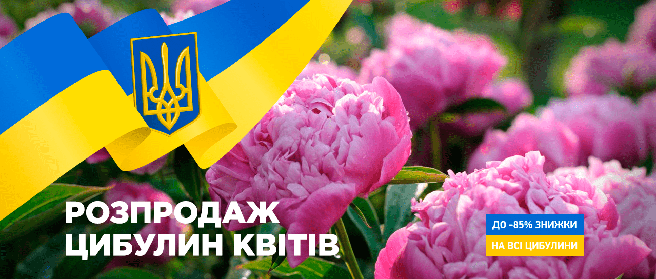 Розпродаж цибулин квітів Розпродаж цибулин квітів