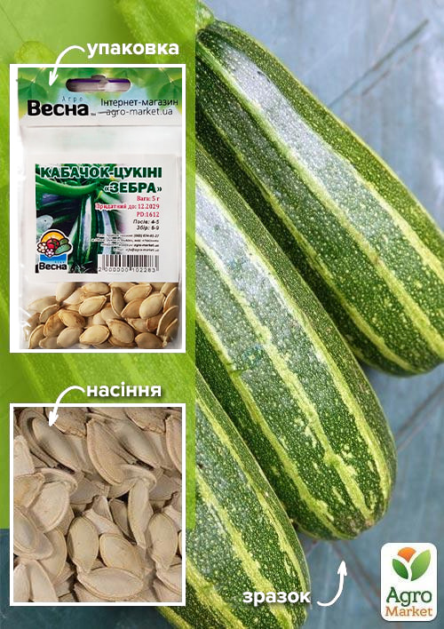 

Кабачок Зебра (Зипер) ТМ Весна 5г