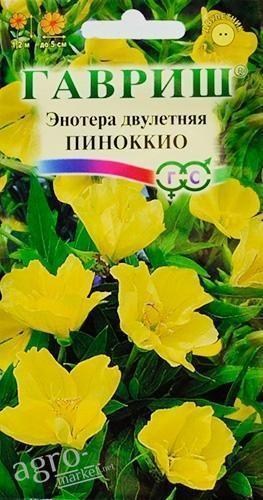 

Энотера "Пиноккио" ТМ "Гавриш" 0.3г