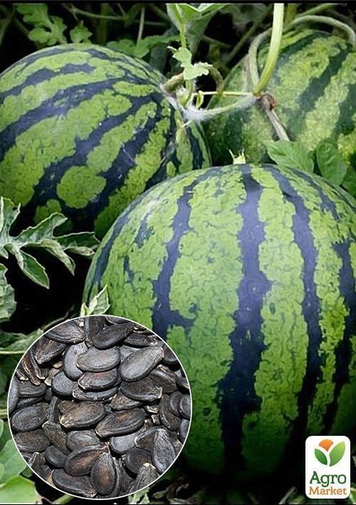 

На развес Арбуз "Борчанский" ТМ "Весна" цена за 10г