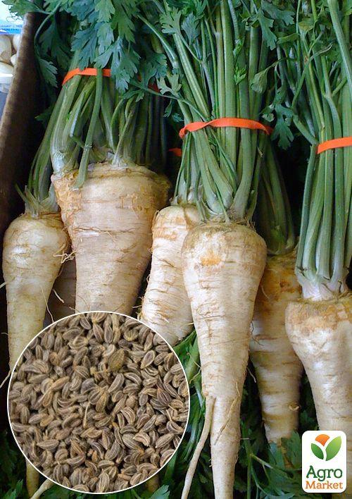 

На развес Петрушка корневая ТМ Весна цена за 5г