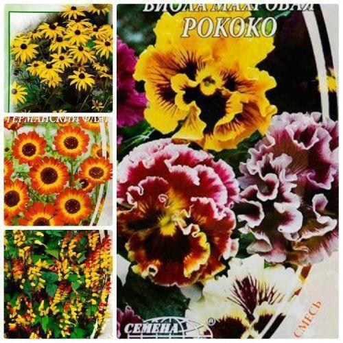 

Комплект семян цветов "Весельчаки" 5уп