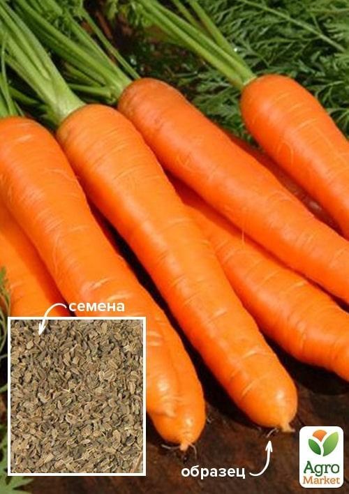 

Морковь Шантане королевская ТМ Весна 100г