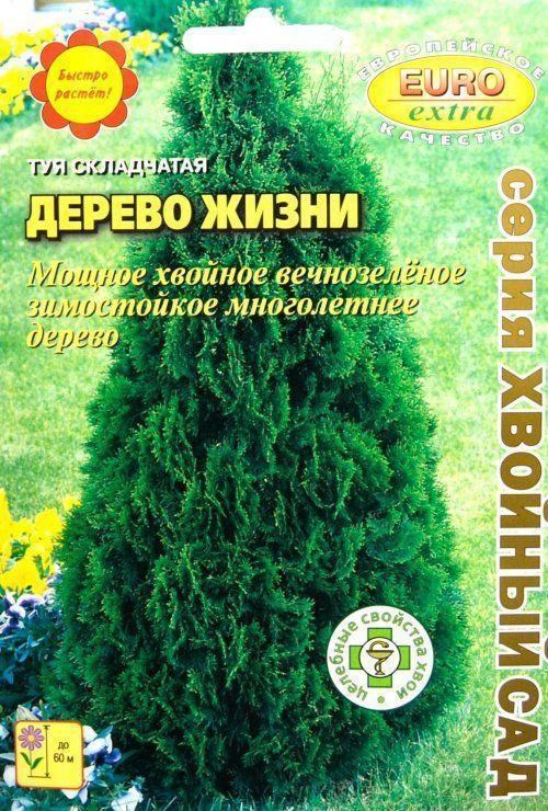 Туя складчатая "Дерево жизни" ТМ "АЭЛИТА" 0.2г купить почтой в Одессе ...